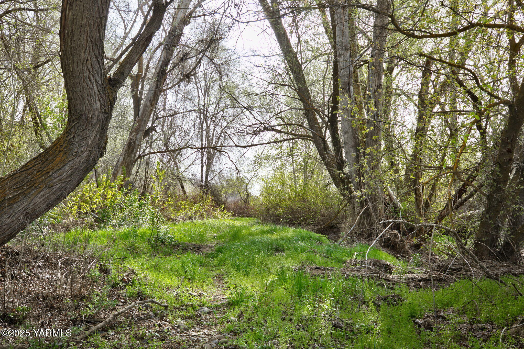 13907 Wide Hollow Rd