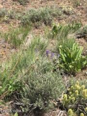 NNA Cowiche Basin Rd