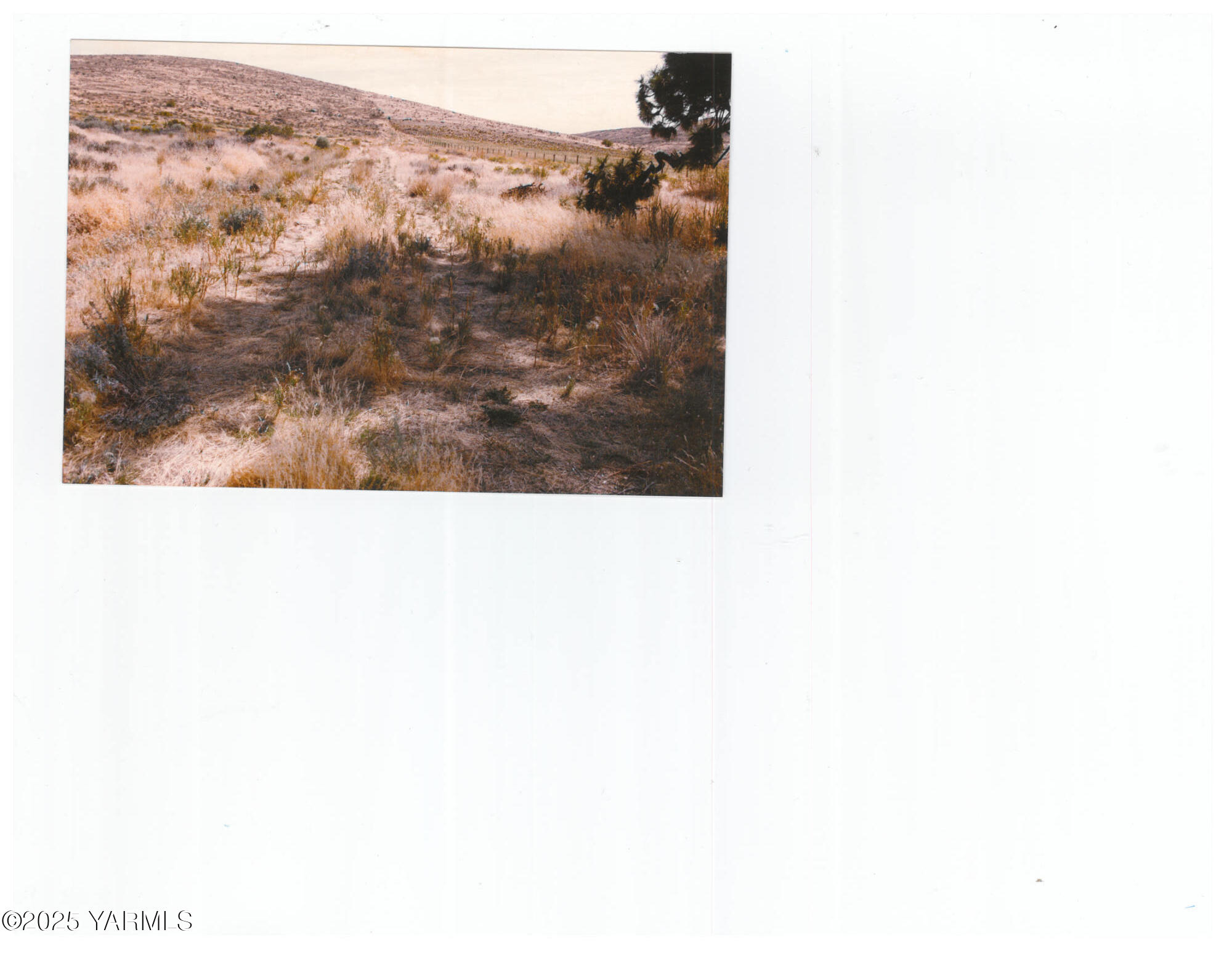 NNA Cowiche Basin Rd
