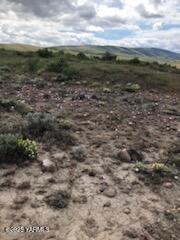 NNA Cowiche Basin Rd