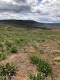 NNA Cowiche Basin Rd