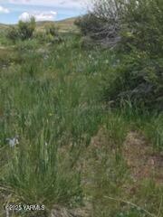 NNA Cowiche Basin Rd