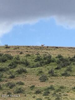 NNA Cowiche Basin Rd