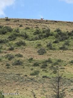NNA Cowiche Basin Rd