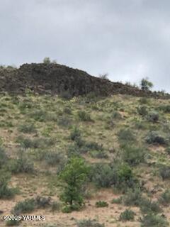 NNA Cowiche Basin Rd
