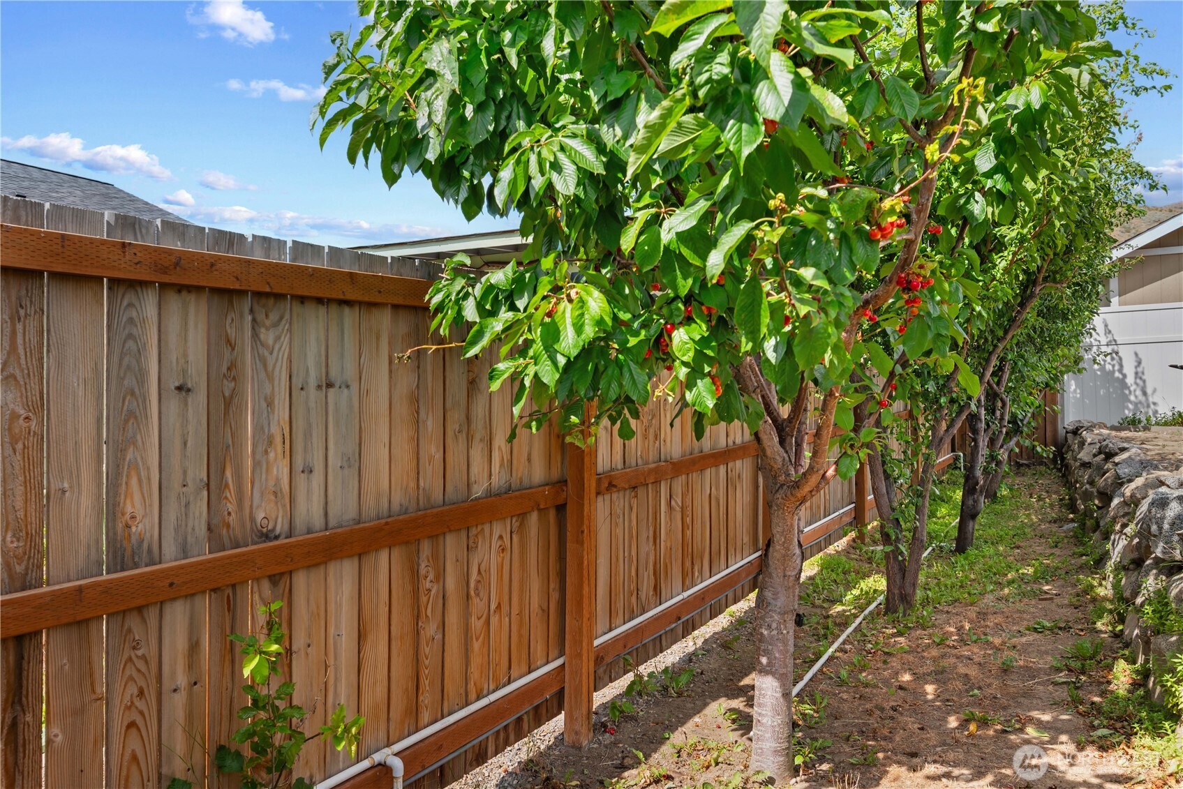 1010 Crest Loop