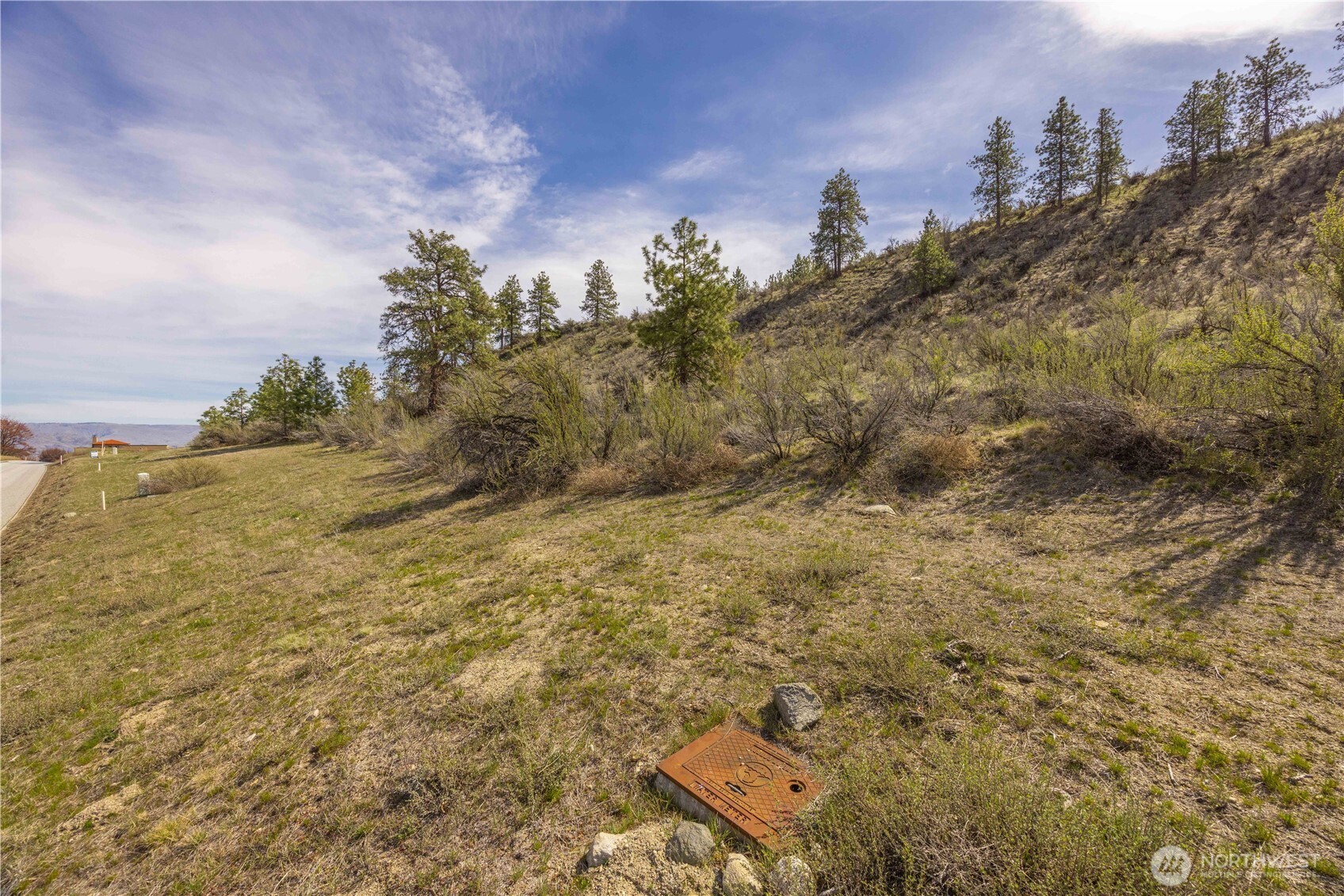221 Bandera Way