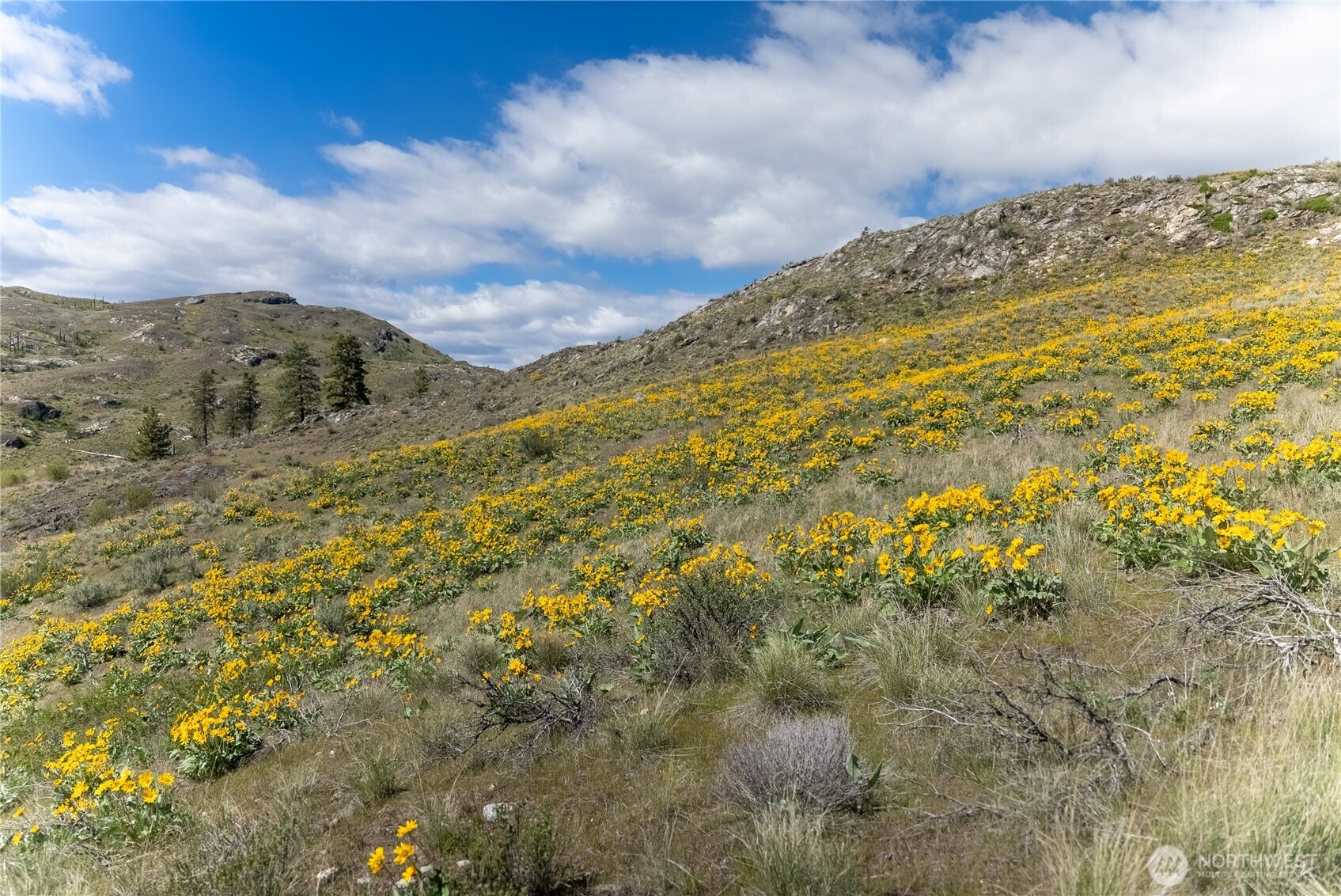 26 Alkali Lake Road