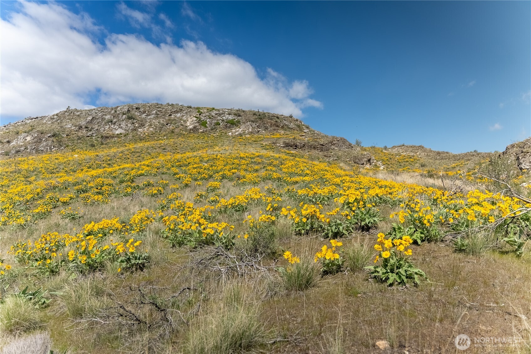 26 Alkali Lake Road