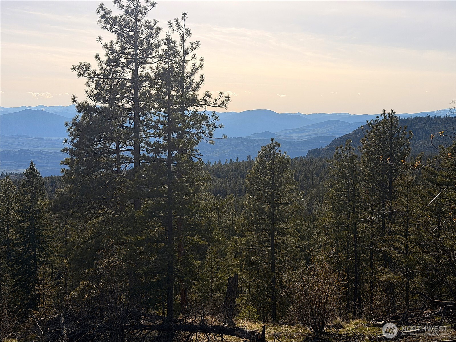 34 Morgan Mountain Trail