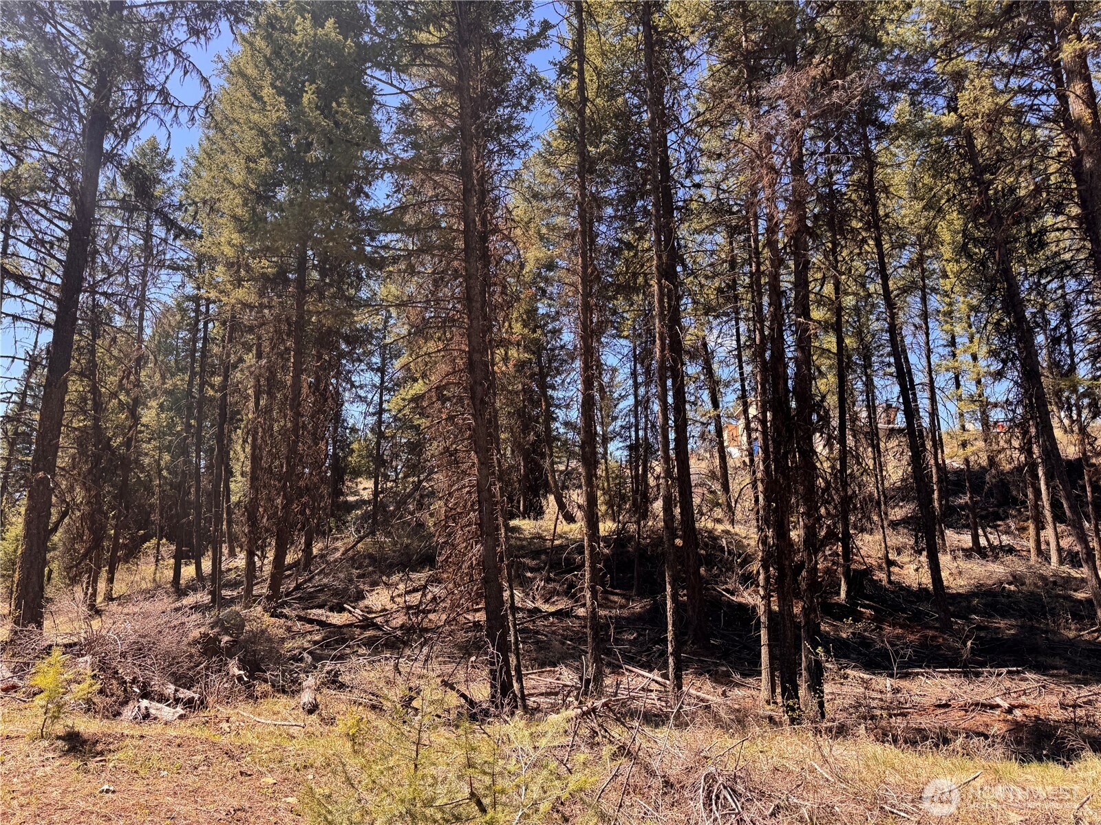 27 Mule Deer Ridge Road Unit: 0