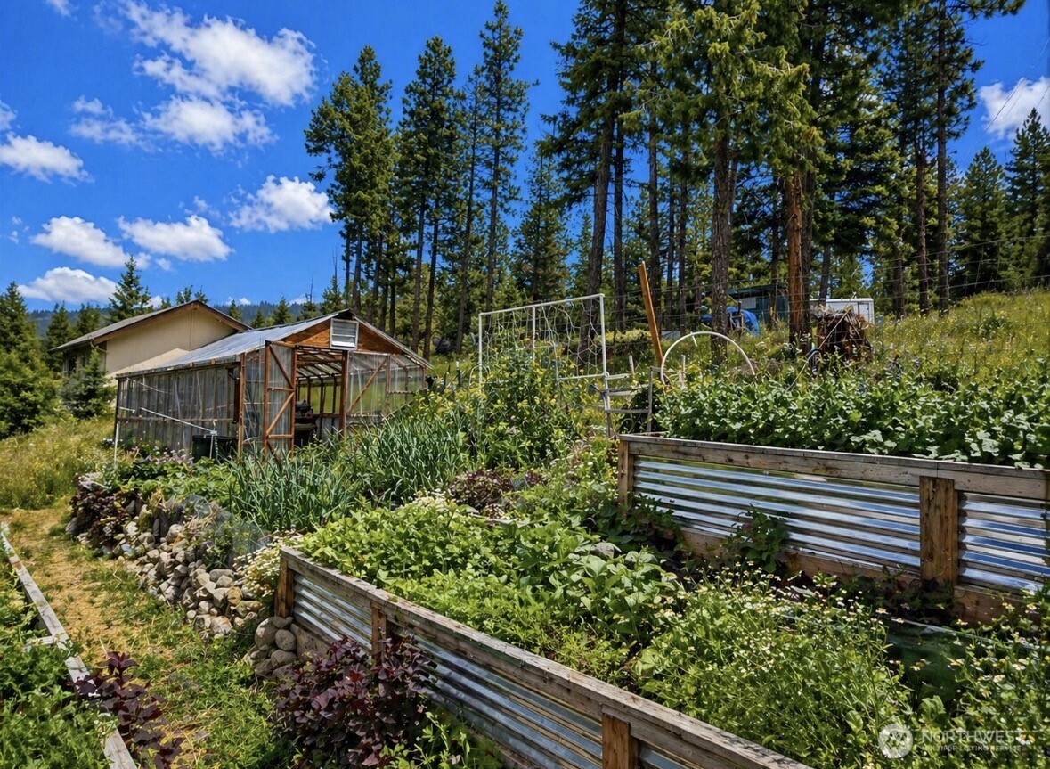 20 Morgan Mountain Trail