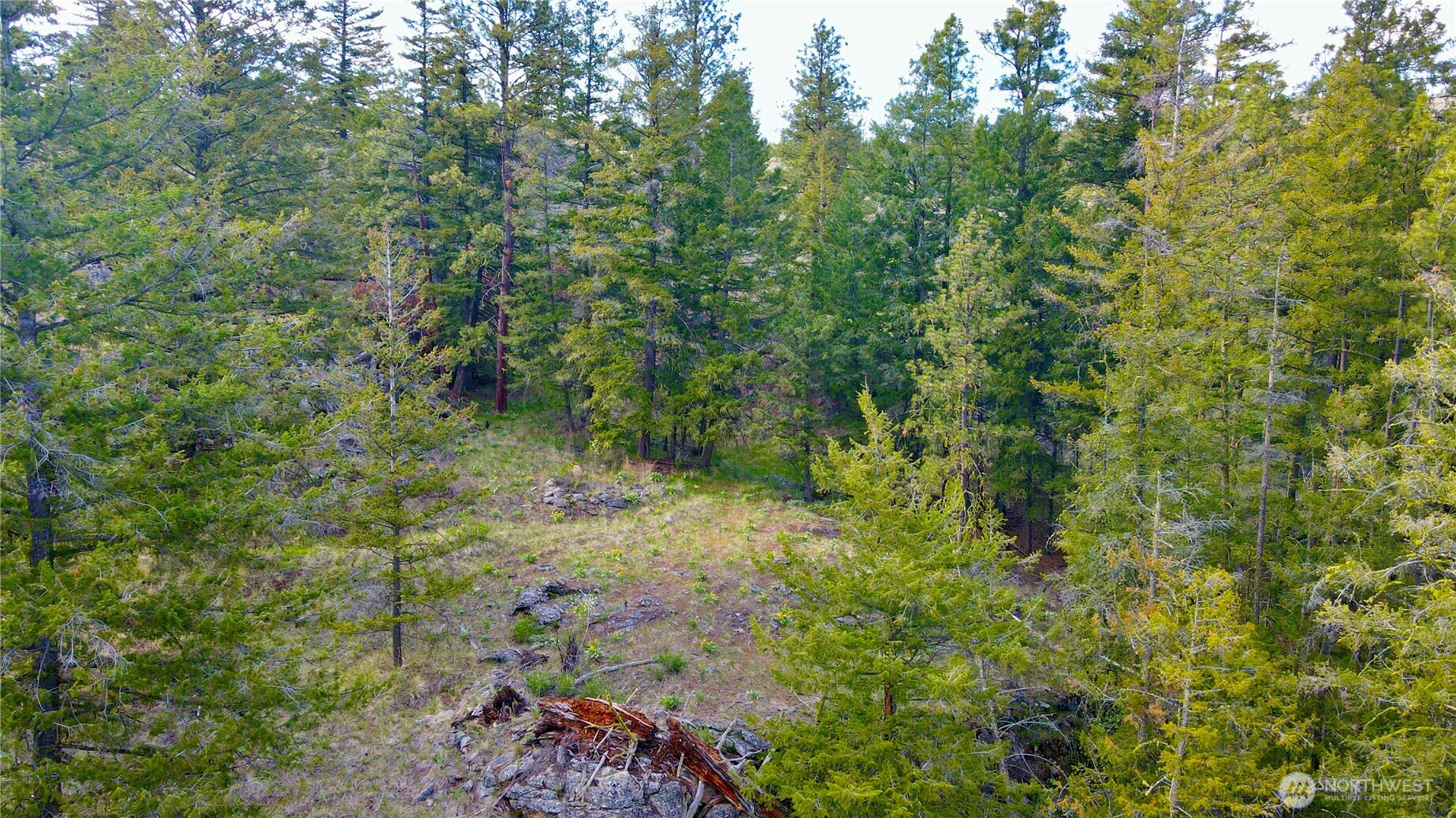 0 TBD Blue Grouse Road