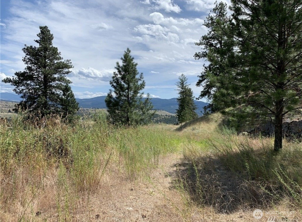 0 TBD Blue Grouse Road