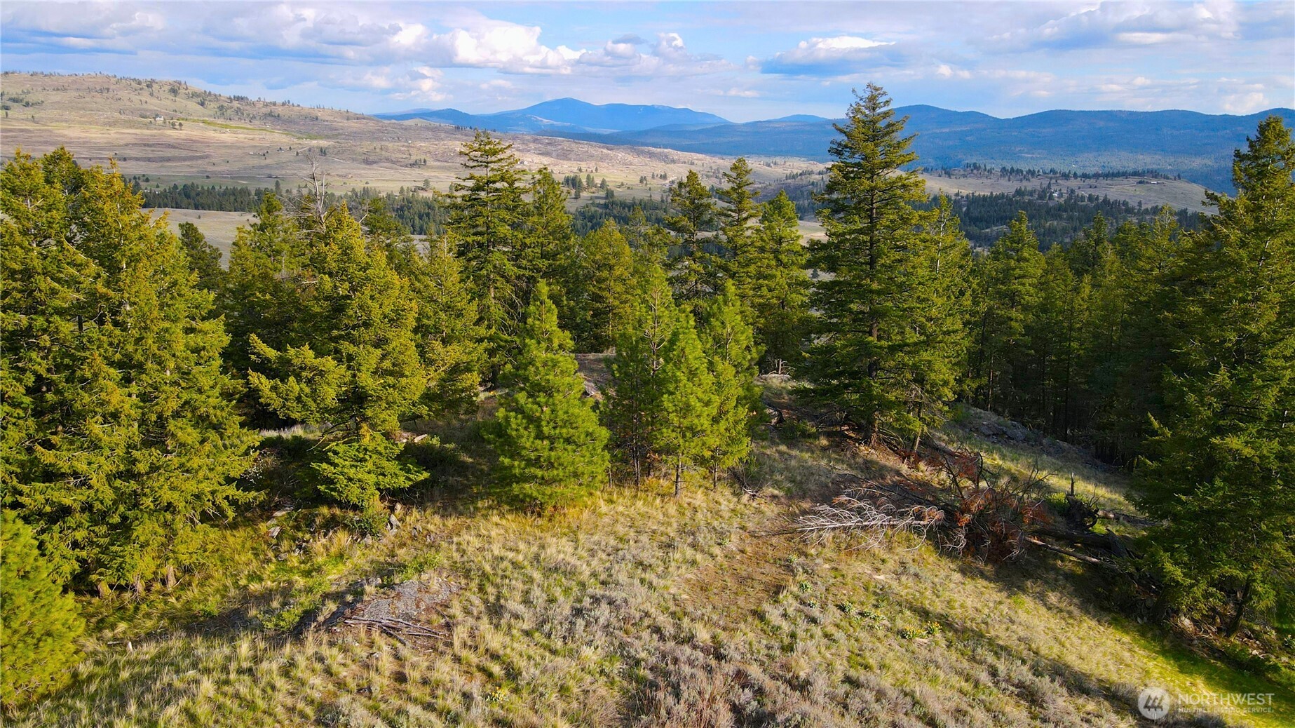 0 TBD Blue Grouse Road