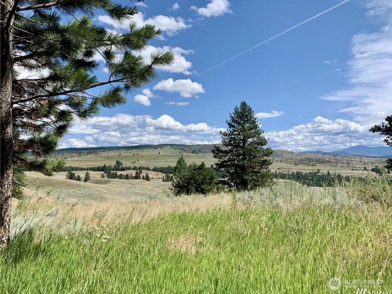 0 TBD Blue Grouse Road