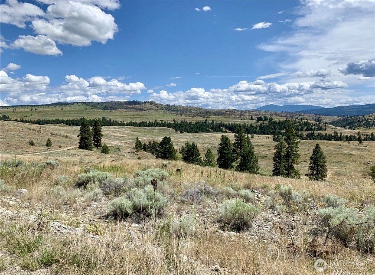 0 TBD Blue Grouse Road