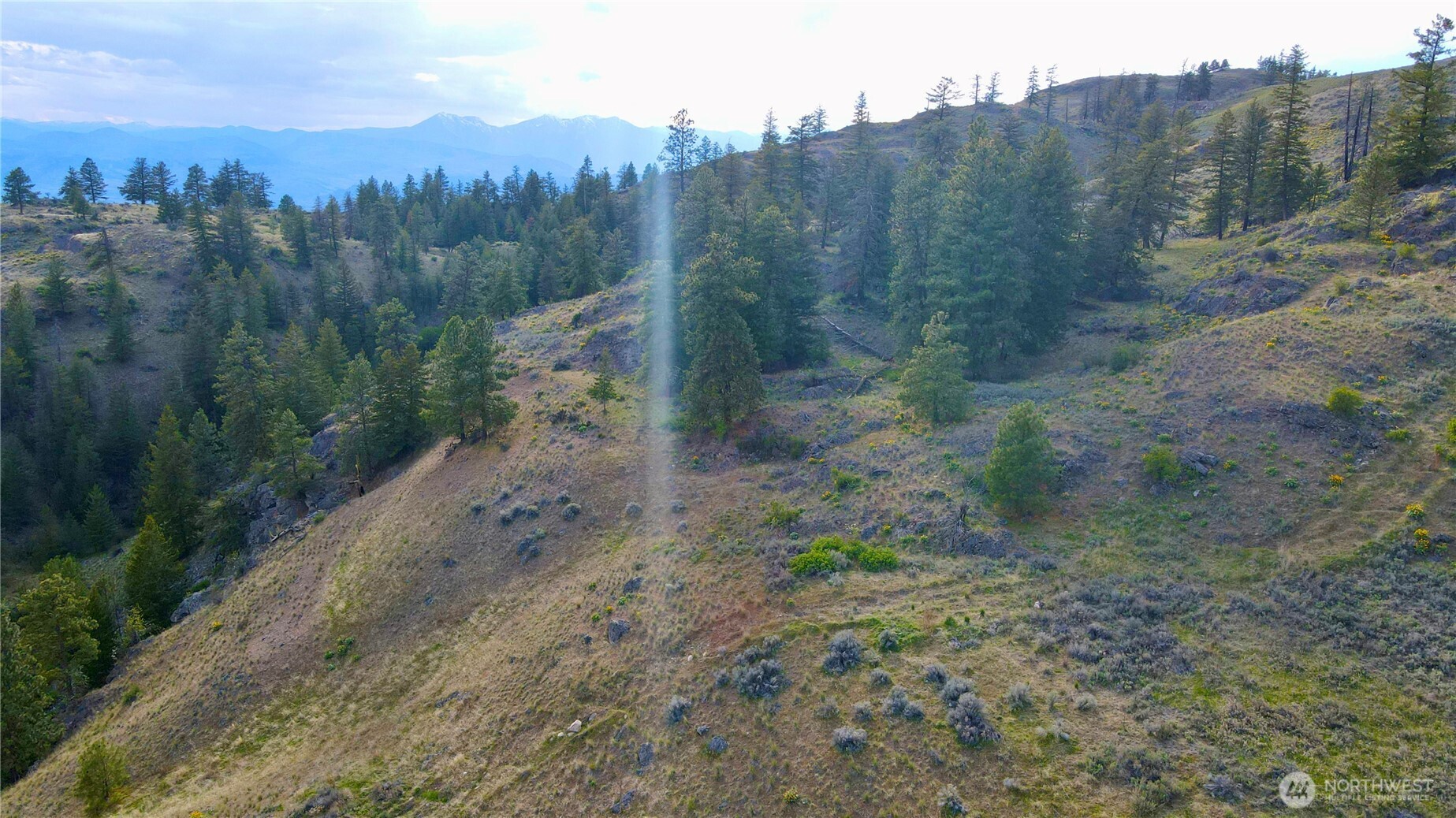 0 TBD Blue Grouse Road