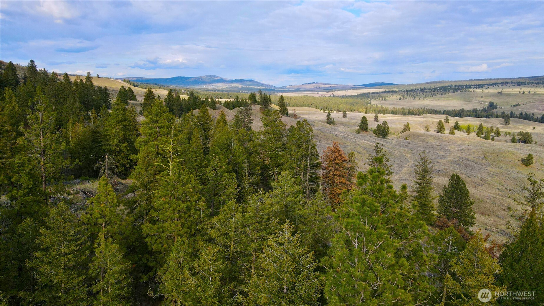 0 TBD Blue Grouse Road