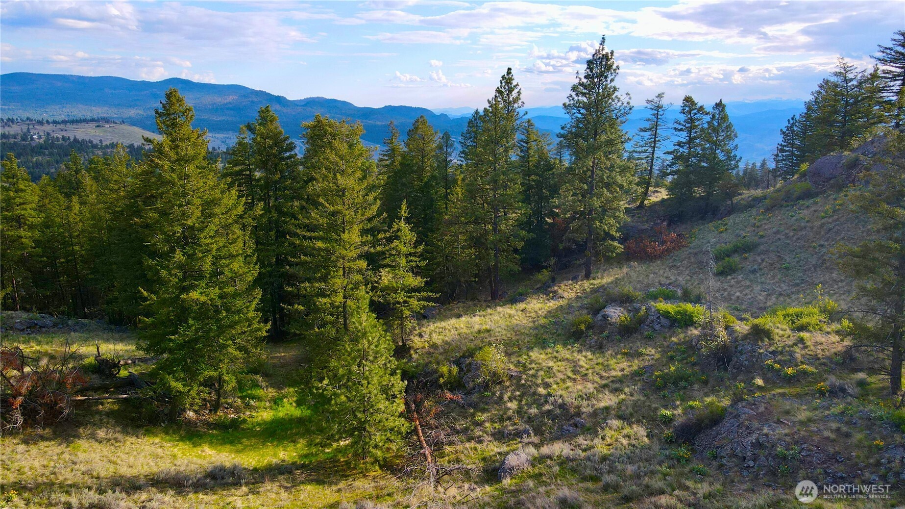 0 TBD Blue Grouse Road