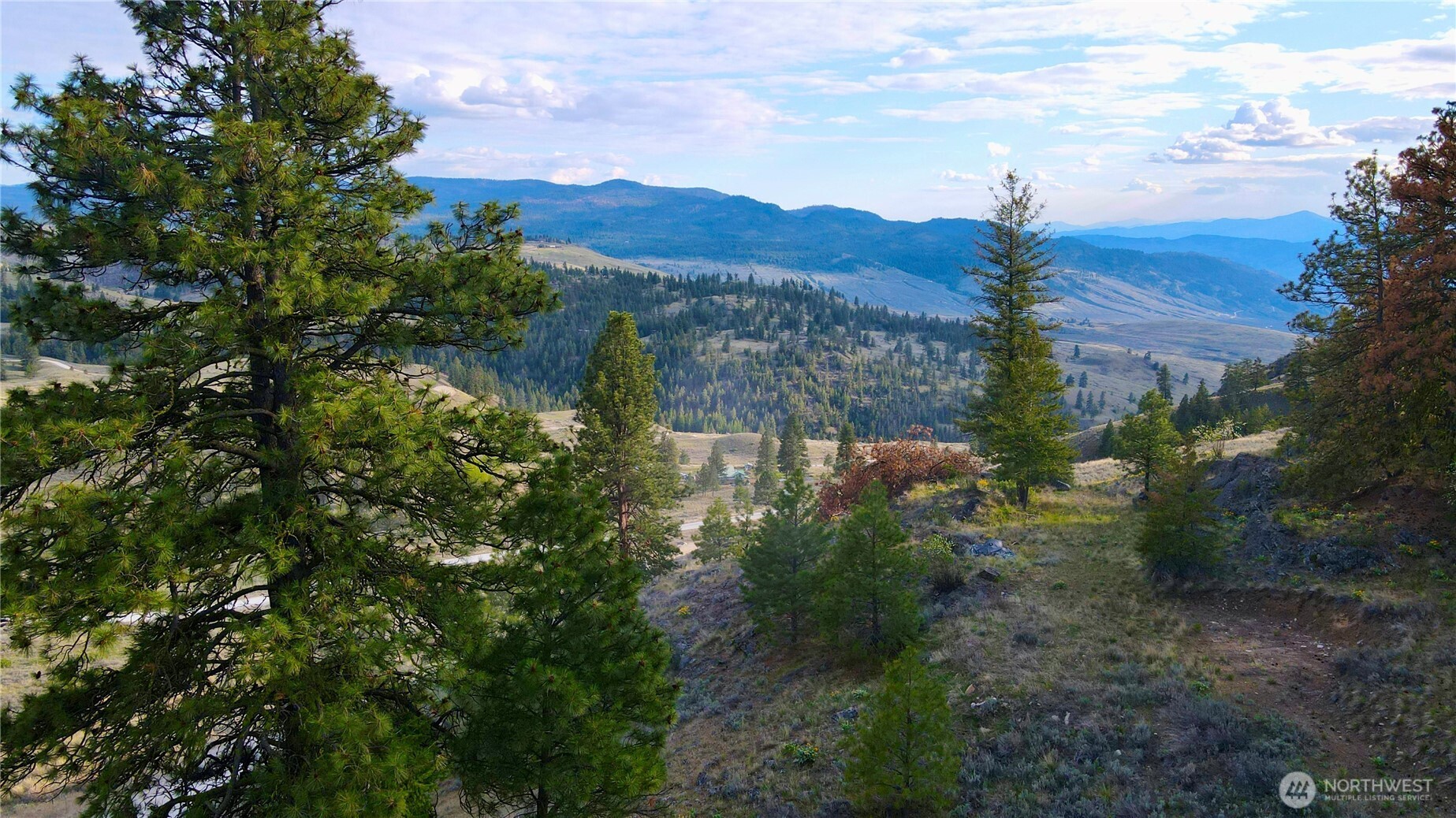 0 TBD Blue Grouse Road