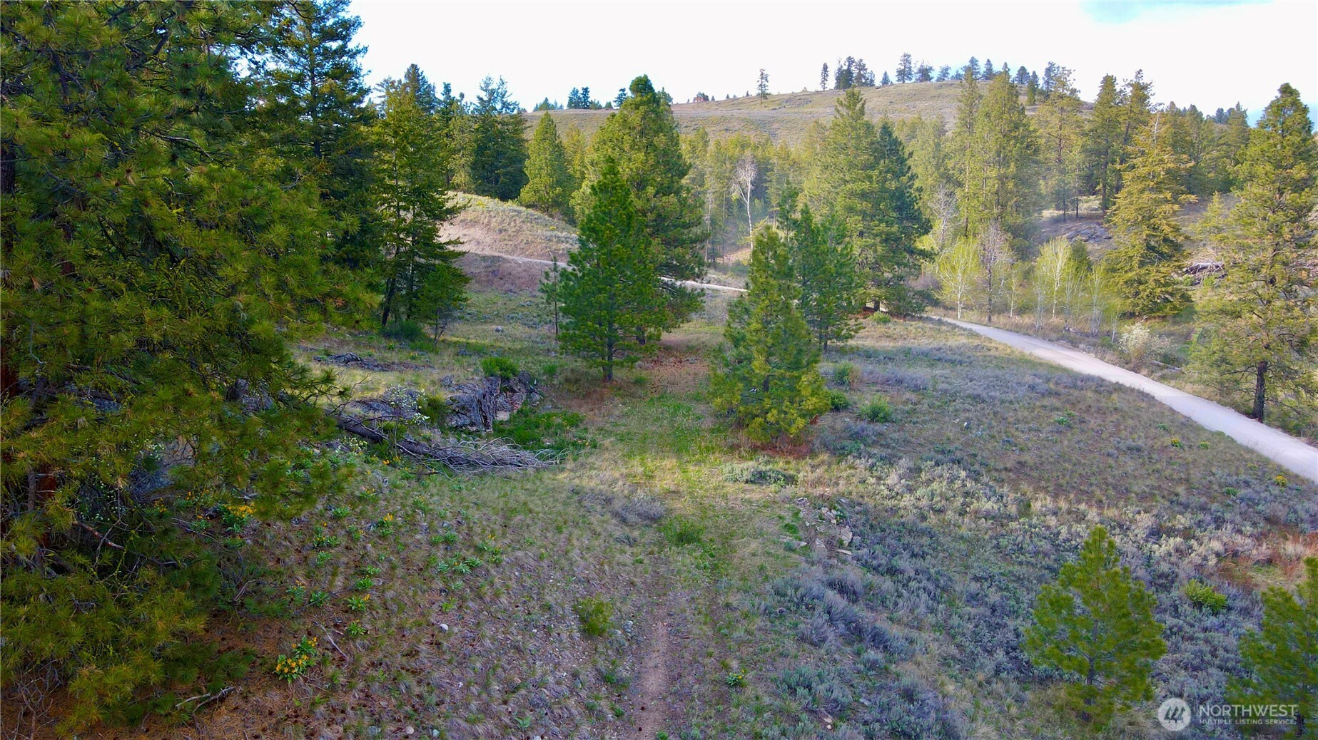 0 TBD Blue Grouse Road