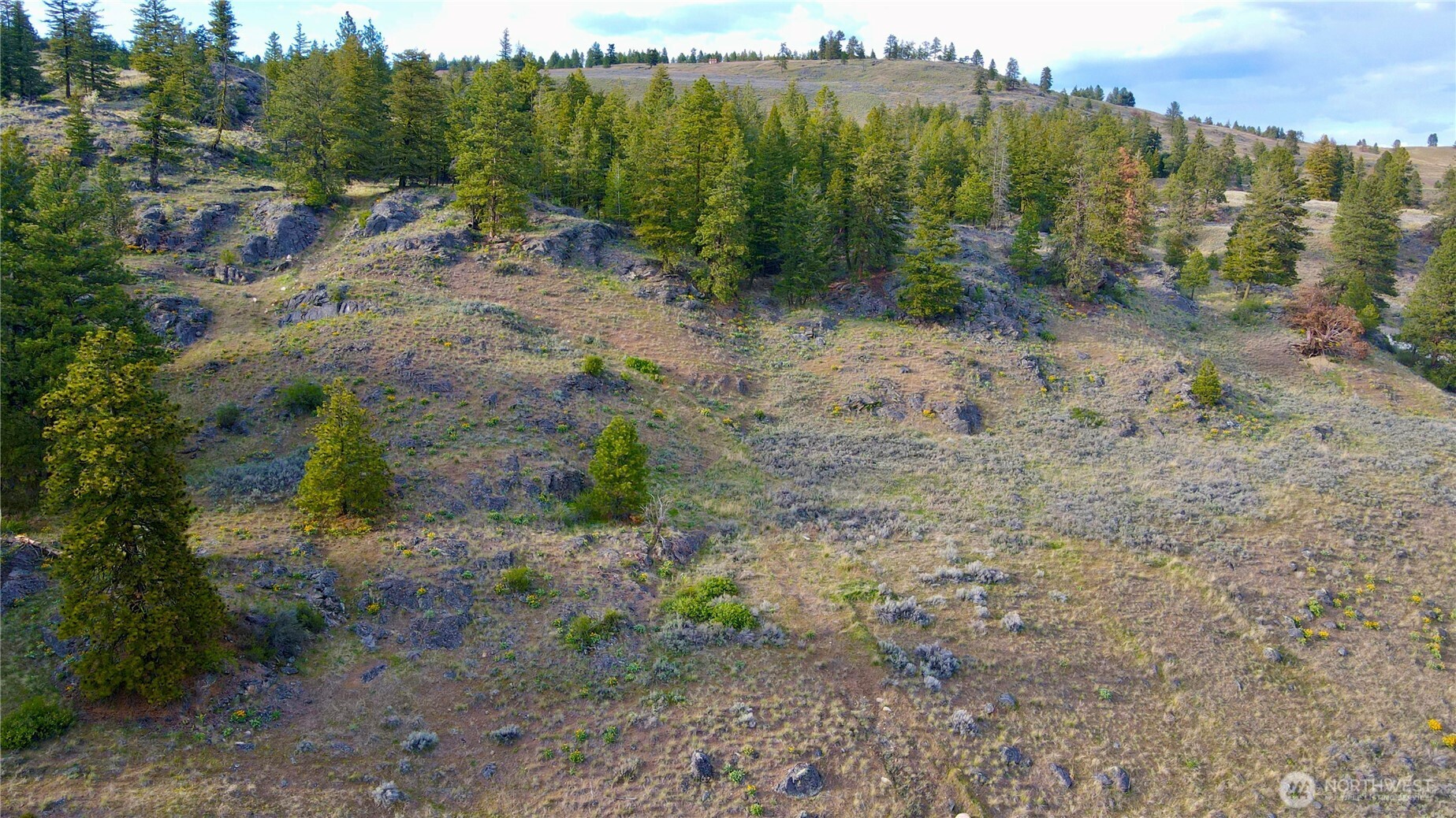 0 TBD Blue Grouse Road