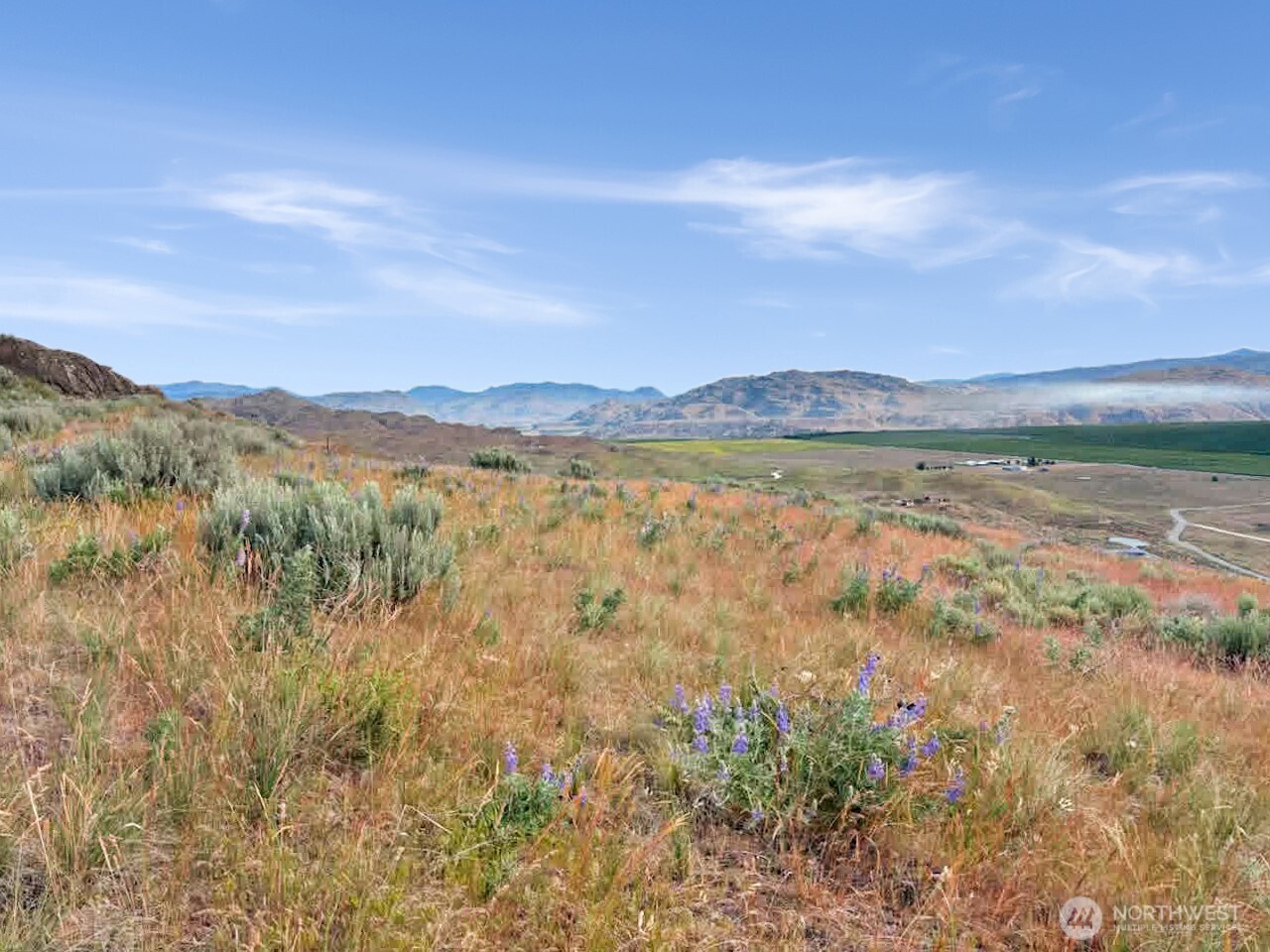 Vacant grassy lot with purple wildflowers overlooking fields and a mountain valley.