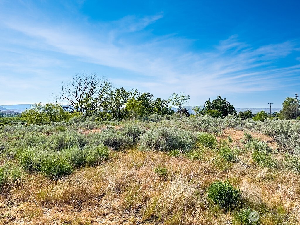 0 Lot 4 Freese Duck Lake Road