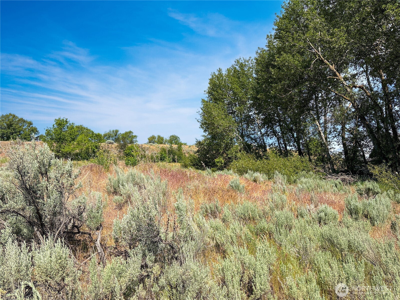 0 Lot 4 Freese Duck Lake Road