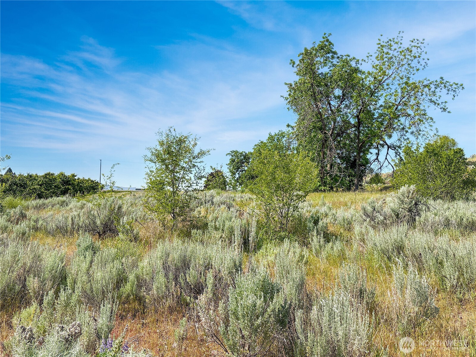 0 Lot 4 Freese Duck Lake Road