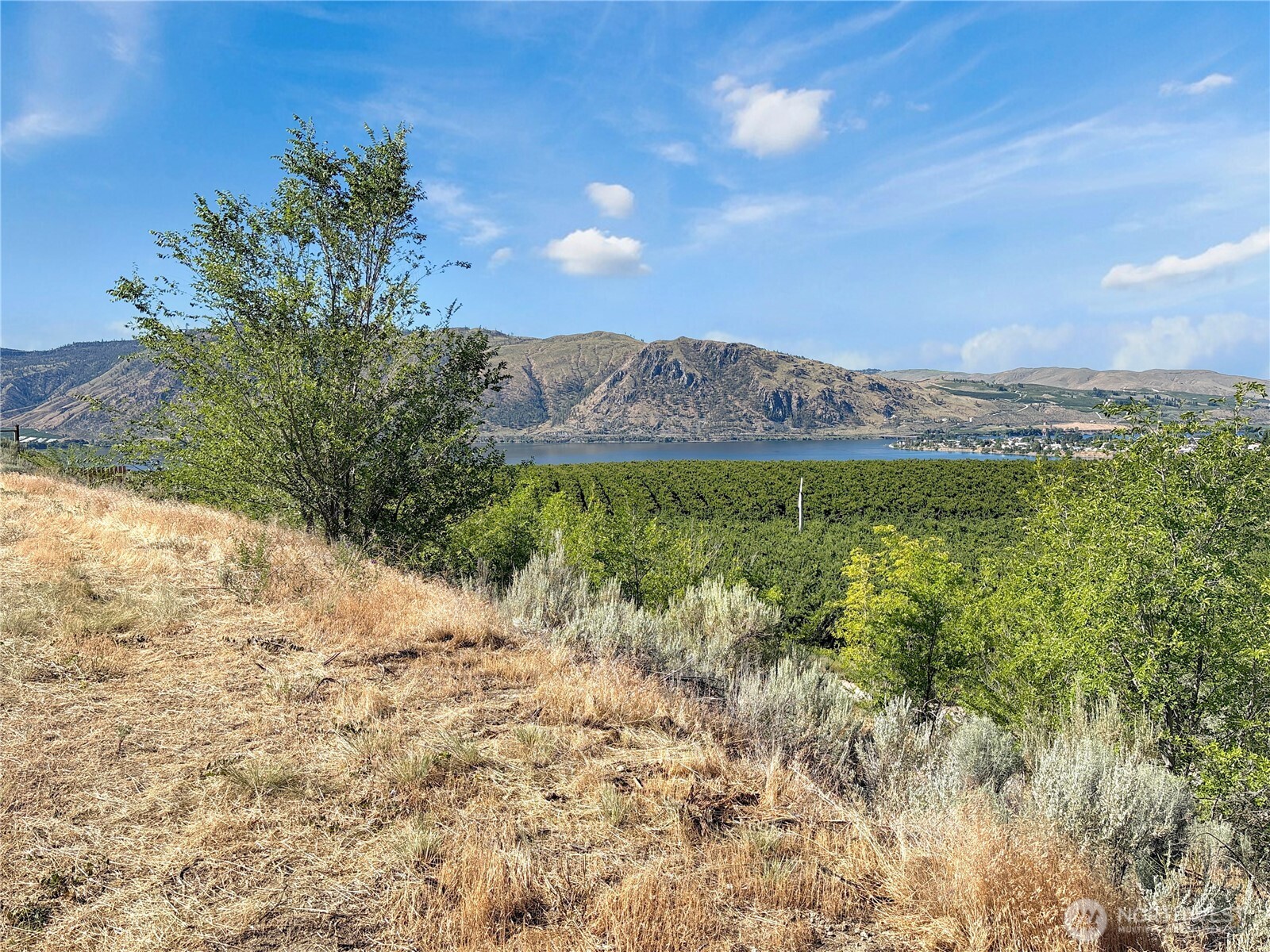 16 Columbia View Drive