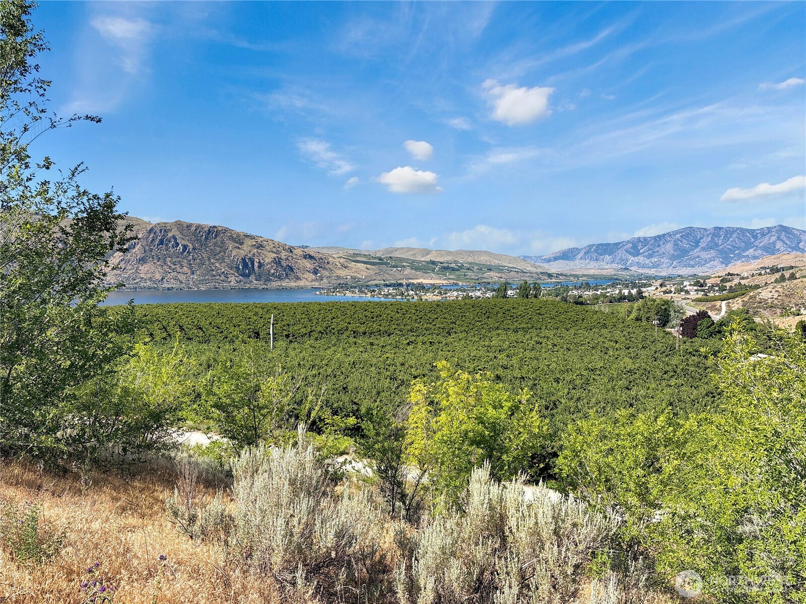 16 Columbia View Drive