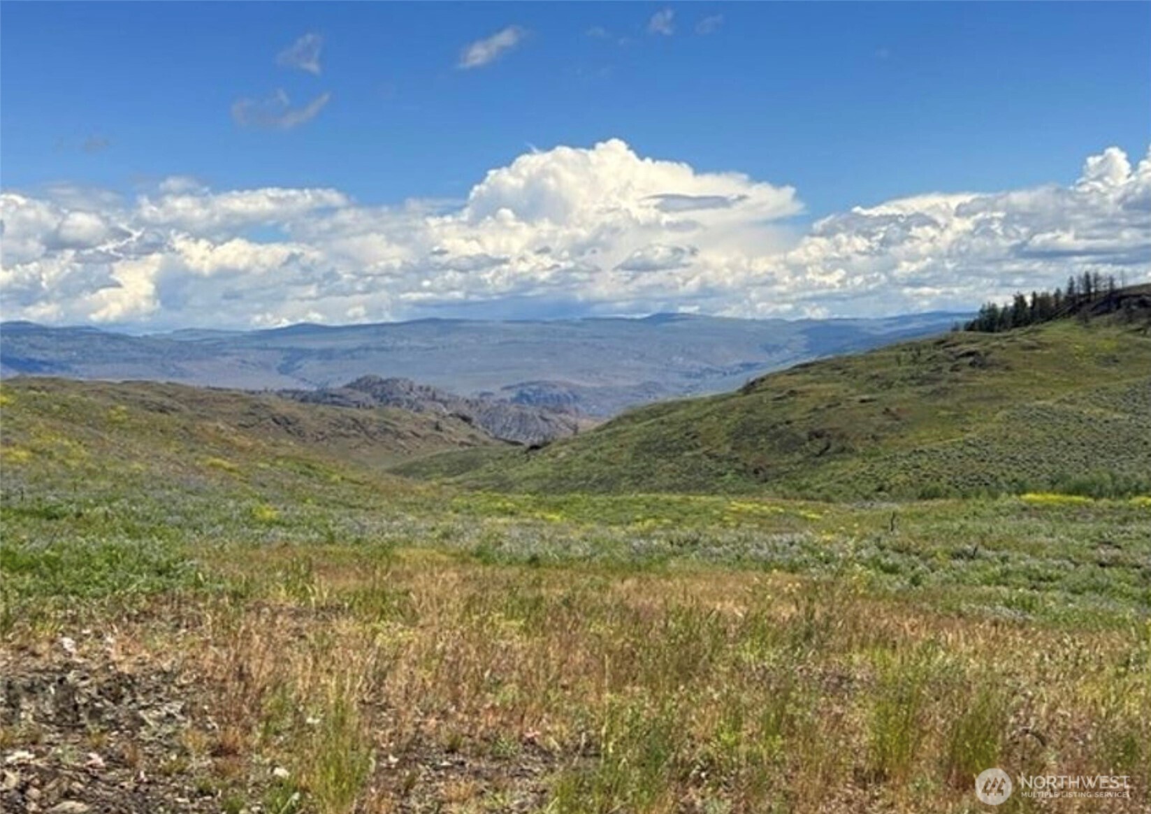 0 TBD Ellemeham Mountain Road