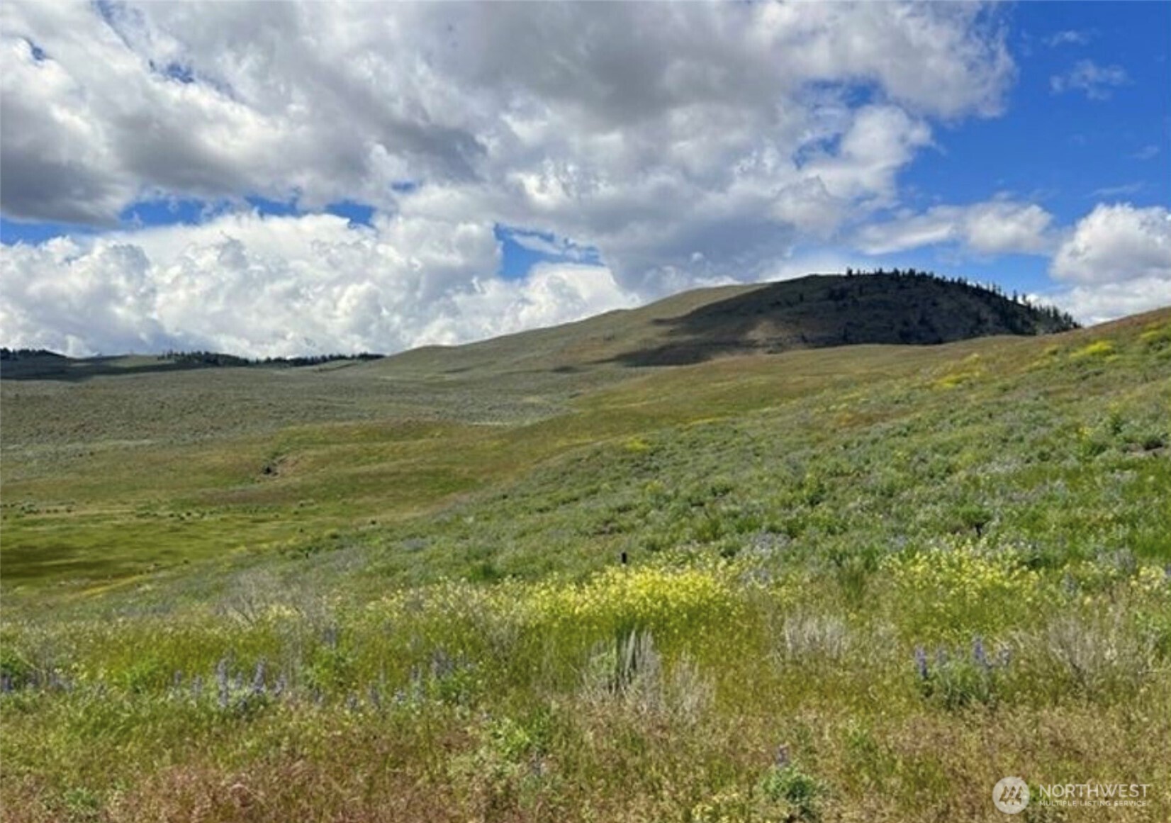 0 TBD Ellemeham Mountain Road