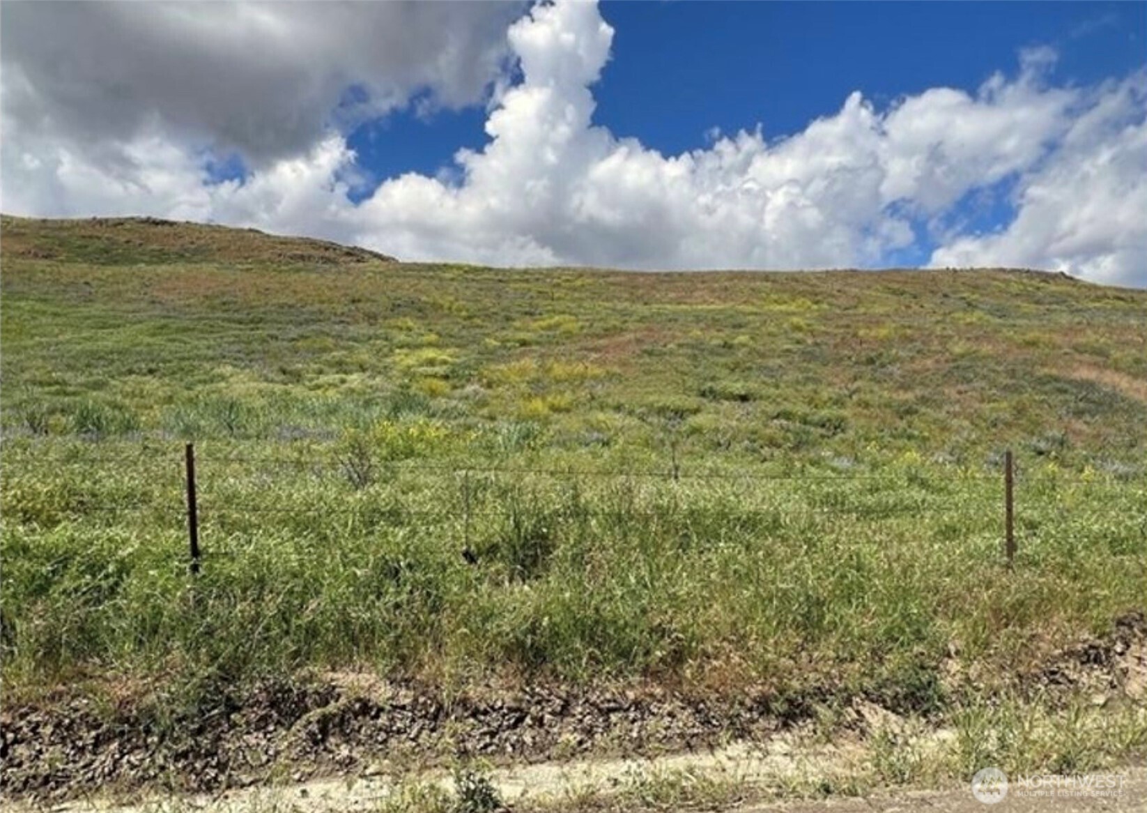 0 TBD Ellemeham Mountain Road