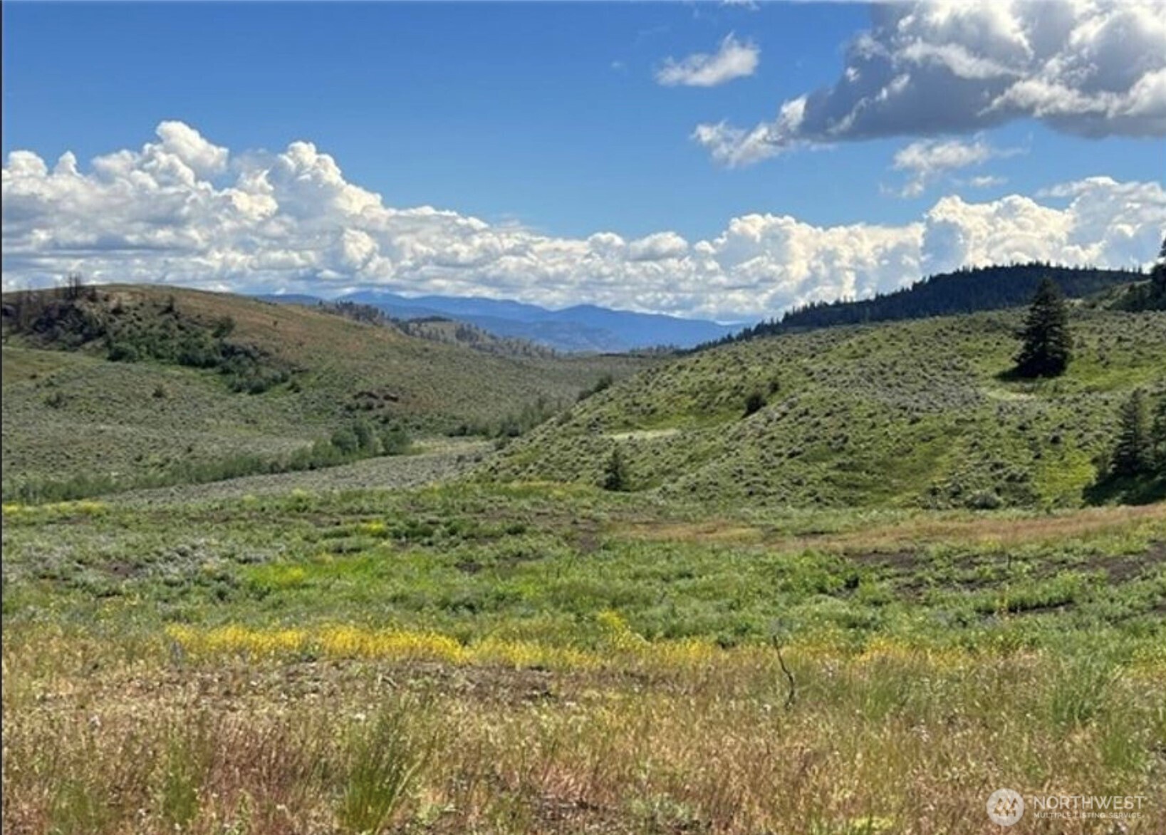 0 TBD Ellemeham Mountain Road
