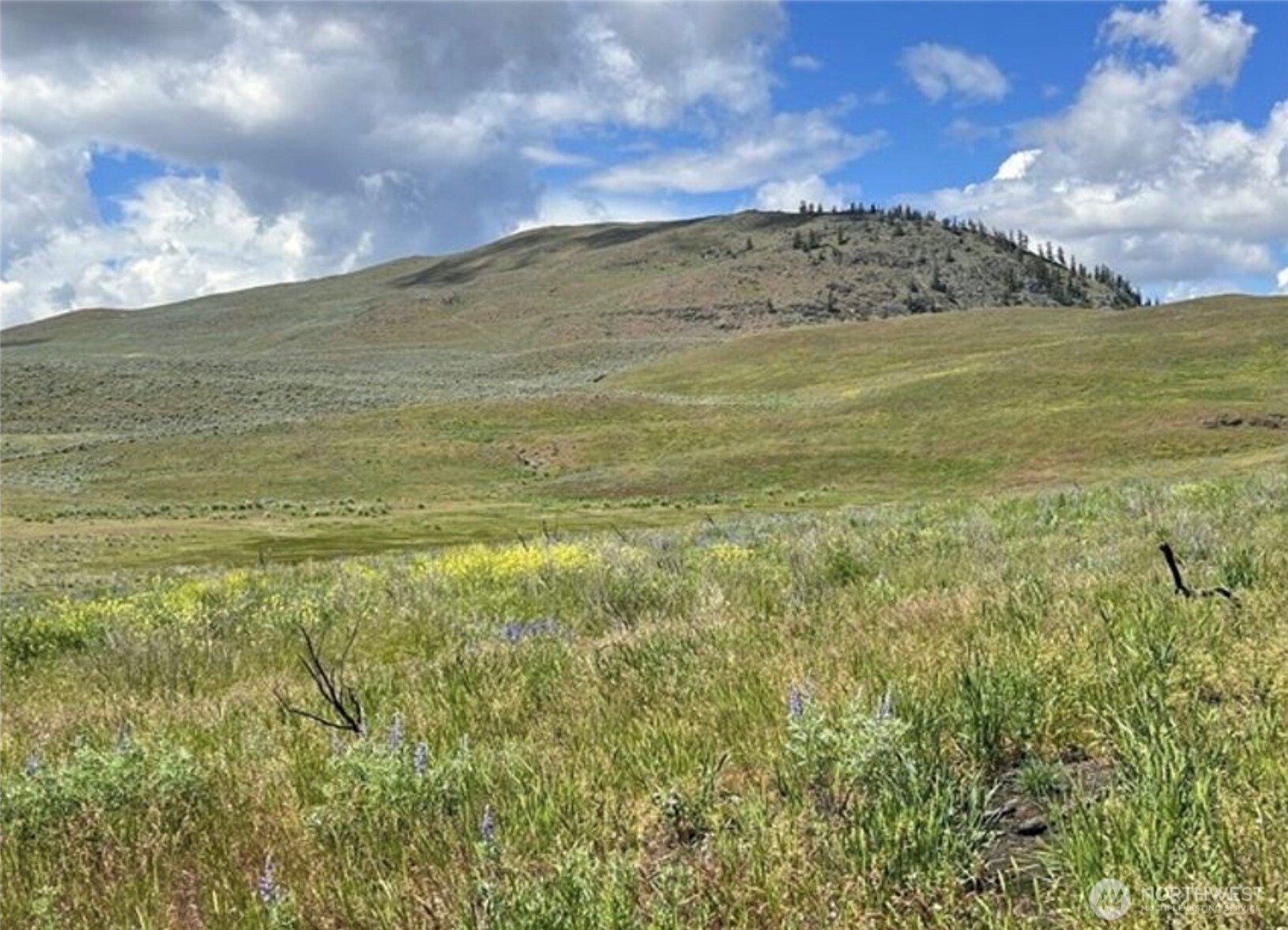0 TBD Ellemeham Mountain Road
