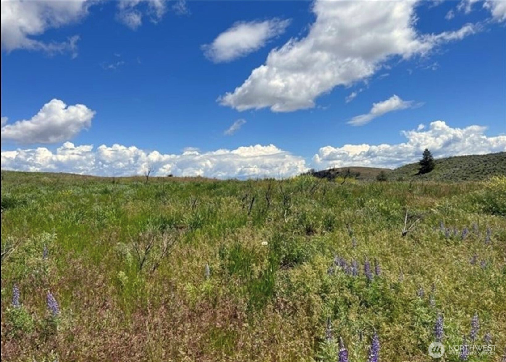 0 TBD Ellemeham Mountain Road