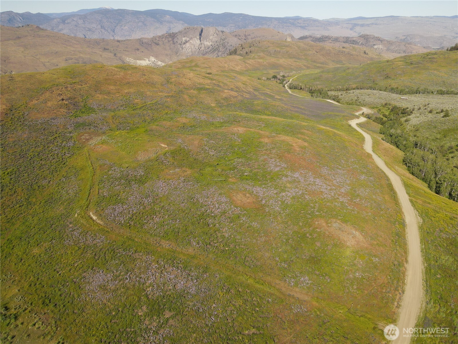 0 TBD Ellemeham Mountain Road
