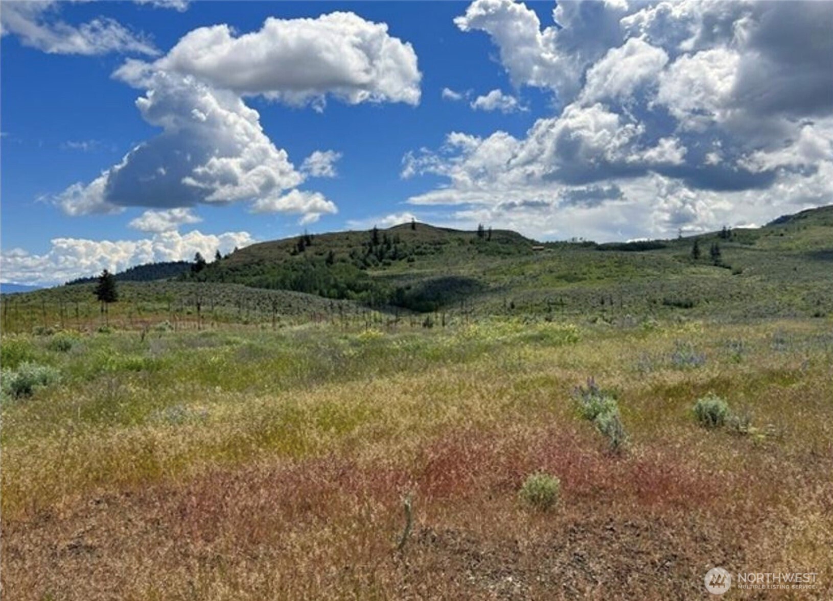 0 TBD Ellemeham Mountain Road