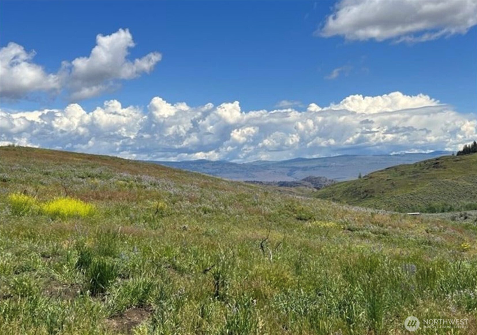 0 TBD Ellemeham Mountain Road