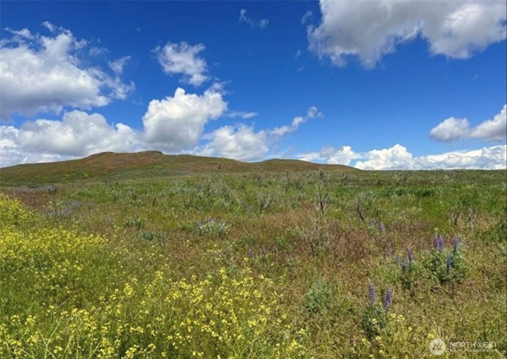 0 TBD Ellemeham Mountain Road