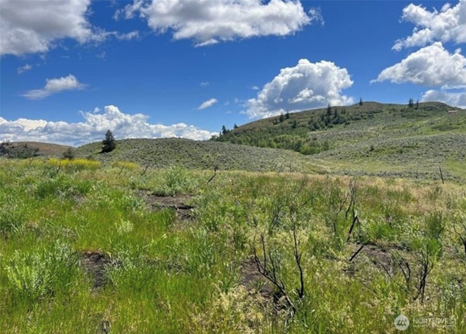 0 TBD Ellemeham Mountain Road