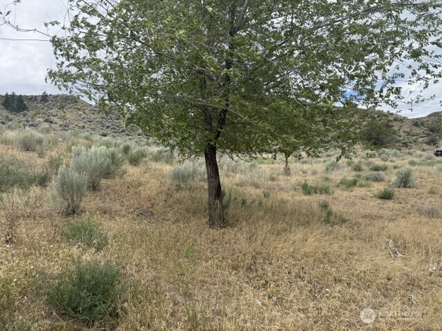 111 TBD HWY 7