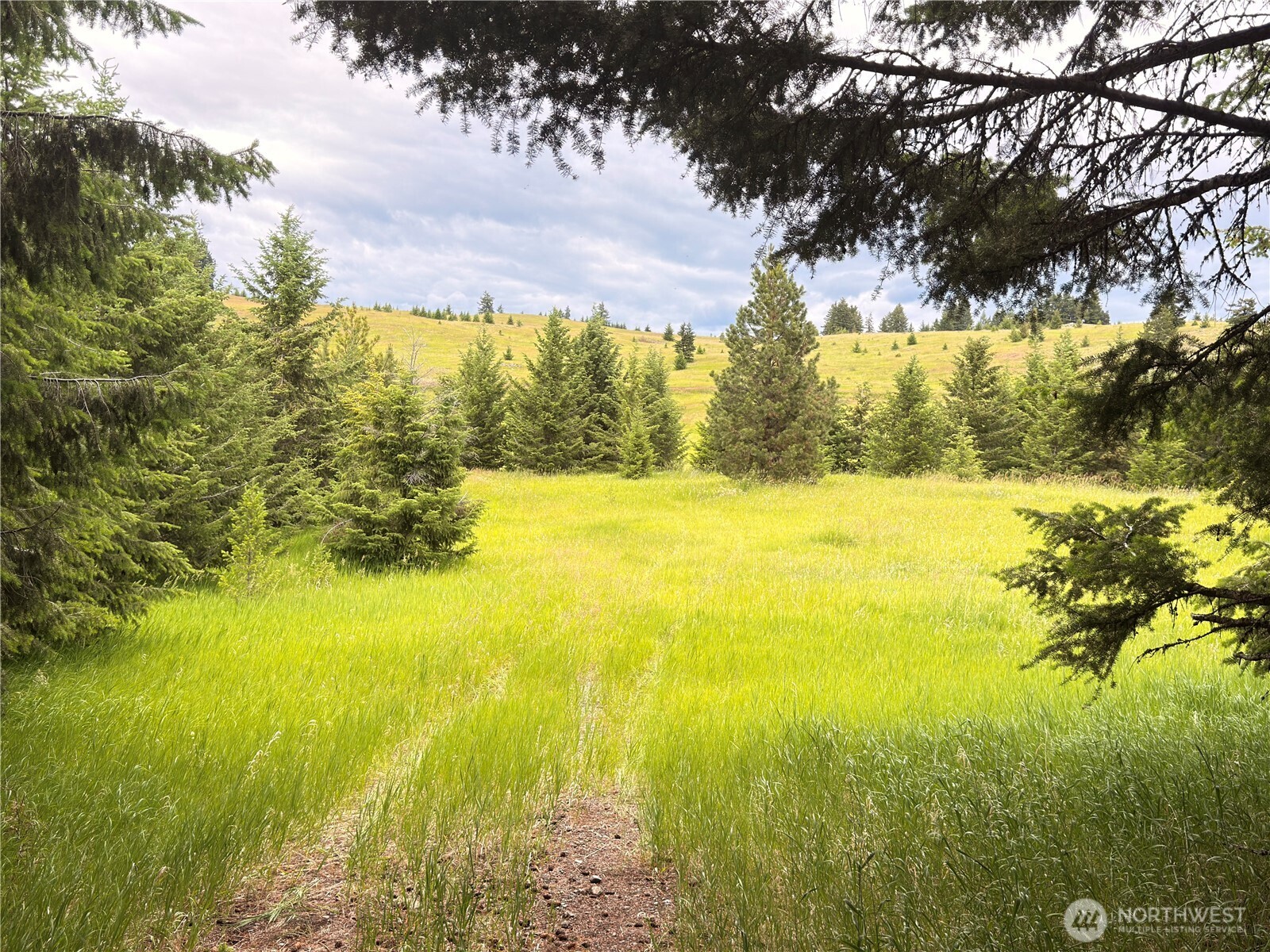12 S Teal Lake Road