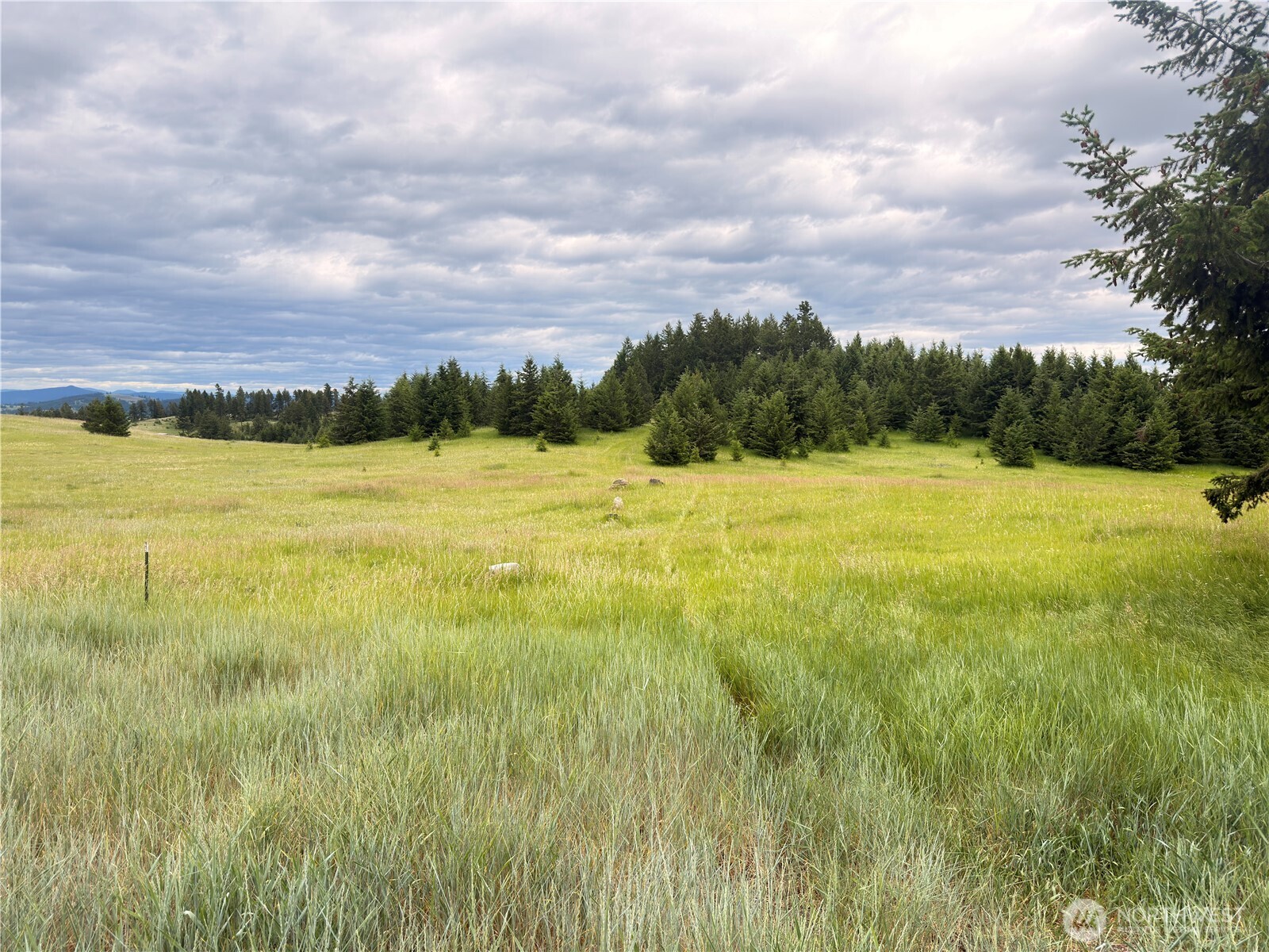 12 S Teal Lake Road