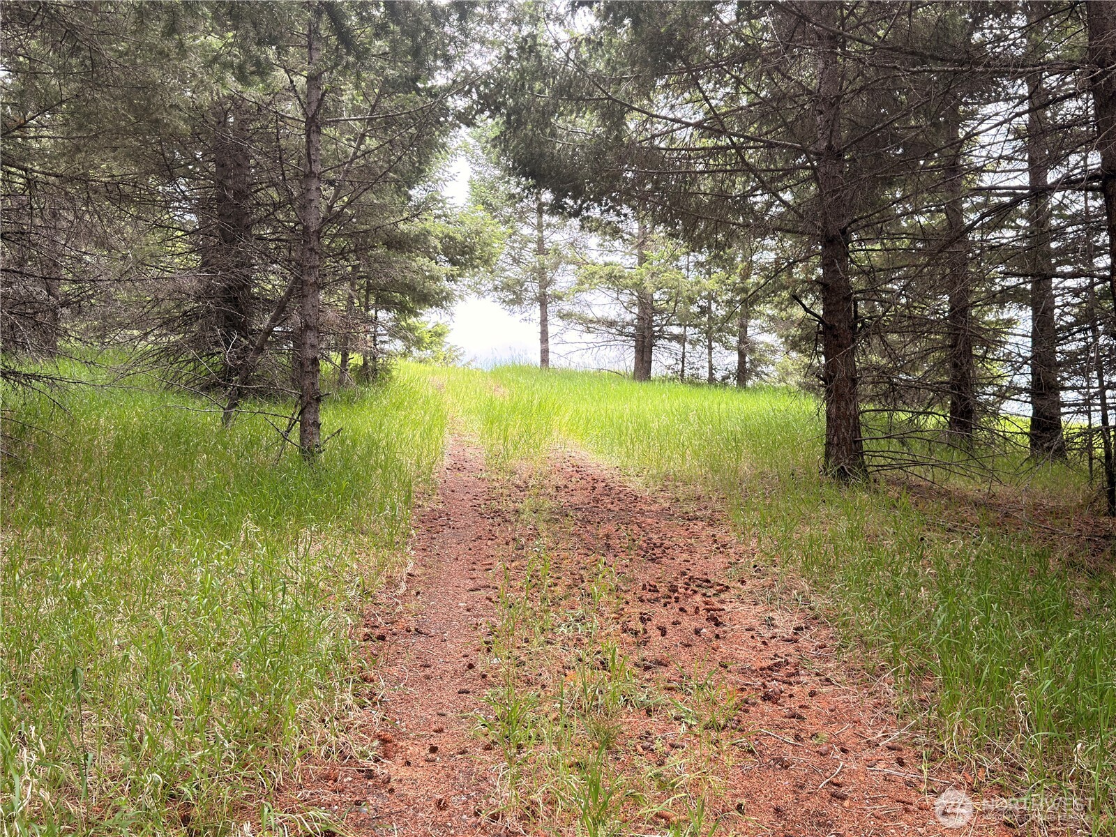 12 S Teal Lake Road