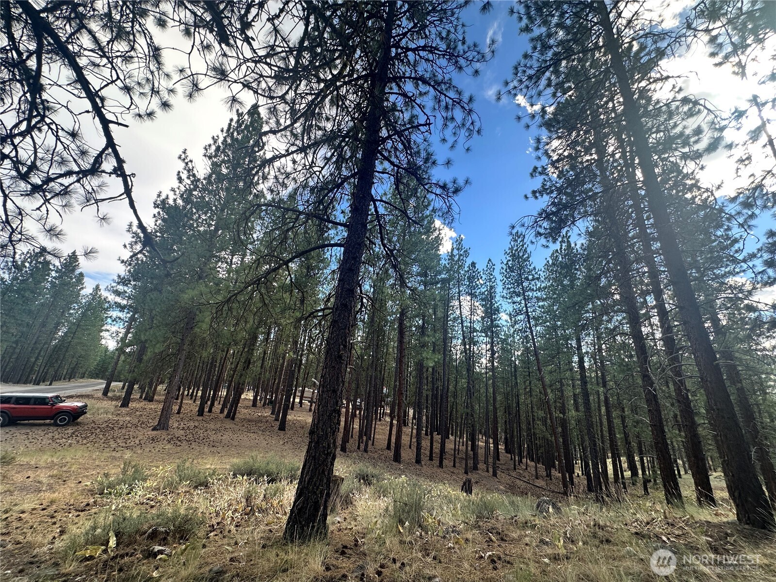 67 Larkspur Drive