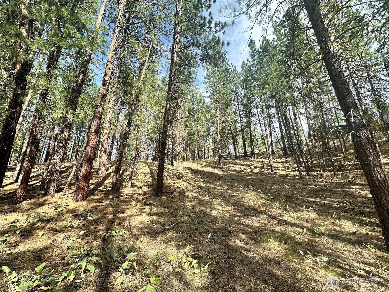 67 Larkspur Drive
